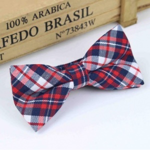Boys Red & Navy Tartan Dickie Bow with Adjustable Strap